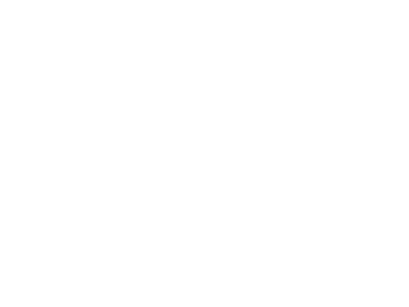 Logo - Nirvana - Raum für Veränderung